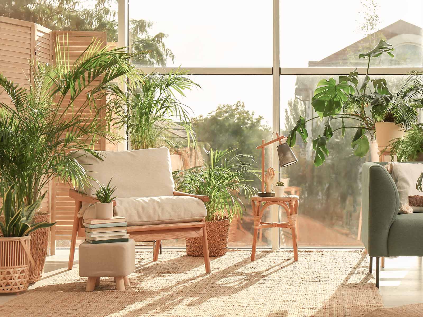 Welcome to Our Store